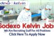 Sodexo Kelvin Careers - Sodexo Kelvin Jobs